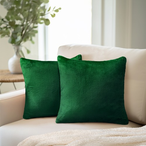 Throw pillow covers set - throw, 2